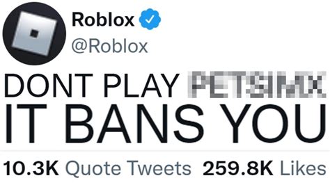 is roblox banning people under 13|dangers of kids playing roblox.